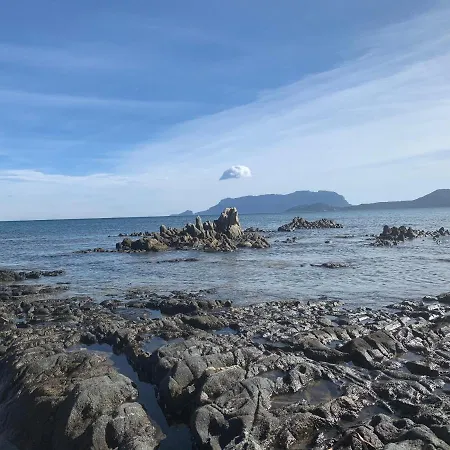 Domus De Diana Nocleg ze śniadaniem Olbia