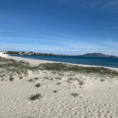 Domus De Diana Nocleg ze śniadaniem Olbia