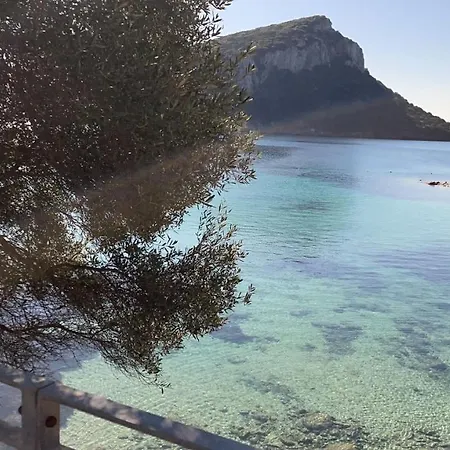 Domus De Diana Couette-café 3*