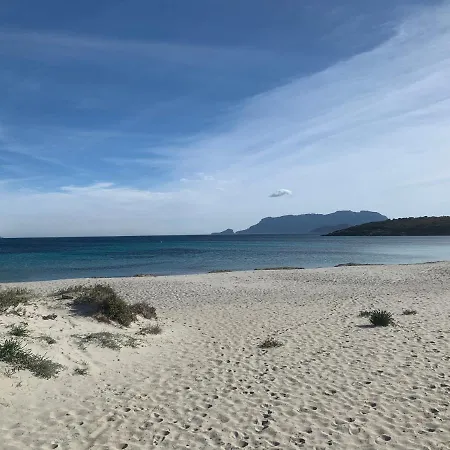 Domus De Diana Olbia