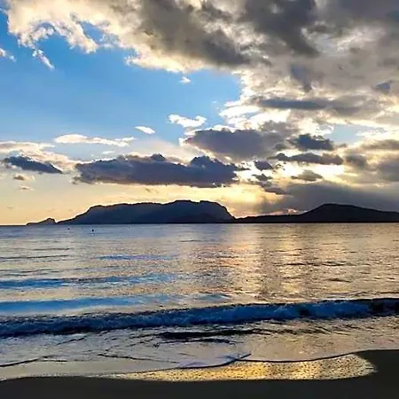 Domus De Diana
