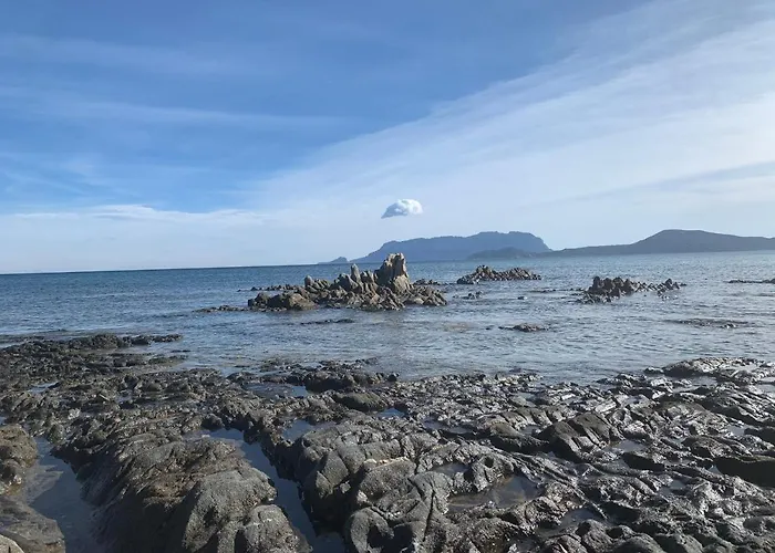 Domus De Diana Bed and breakfast Olbia