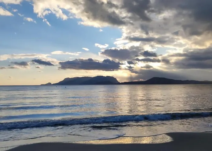 Domus De Diana Bed and breakfast