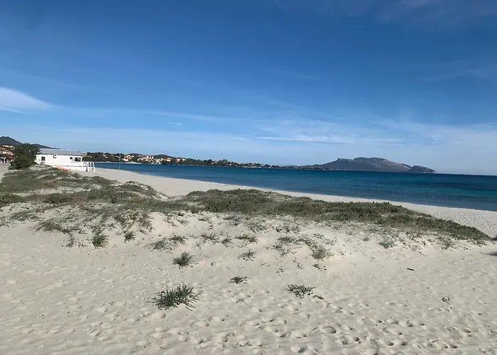 Domus De Diana Bed and breakfast Olbia