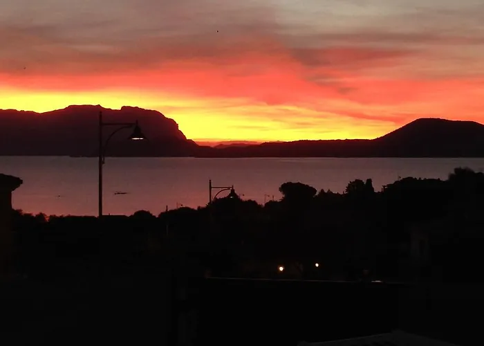 Domus De Diana Olbia